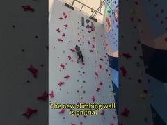 স্ট্যান্ডার্ড ইনডোর রক ক্লাইম্বিং স্পিড ওয়াল প্যানেল অটো বেলে ওয়াটারপ্রুফ